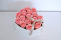 Pink Serenade