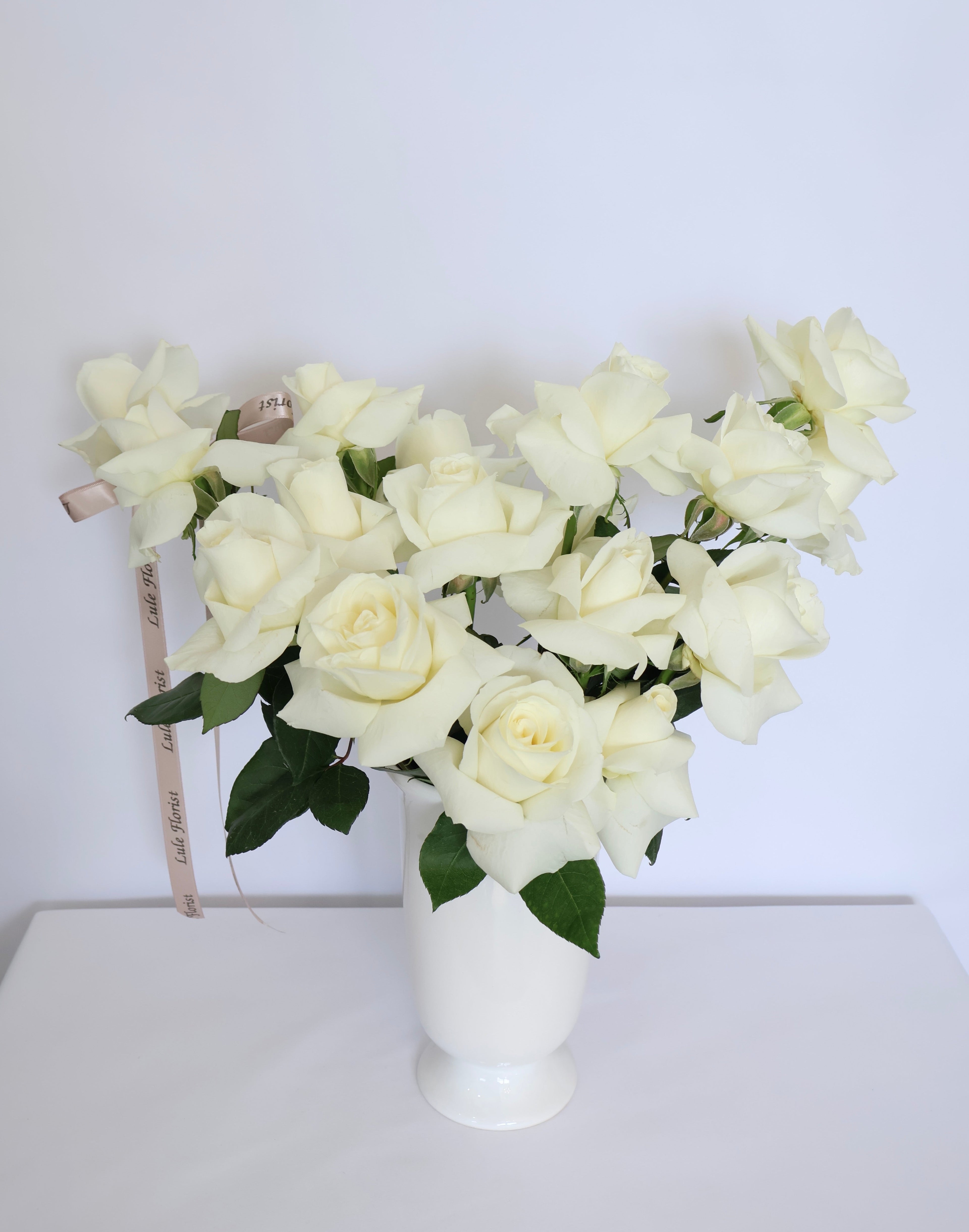 Ivory Dream